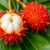 Rambutan – egzotyczny owoc pełen zdrowotnych właściwości